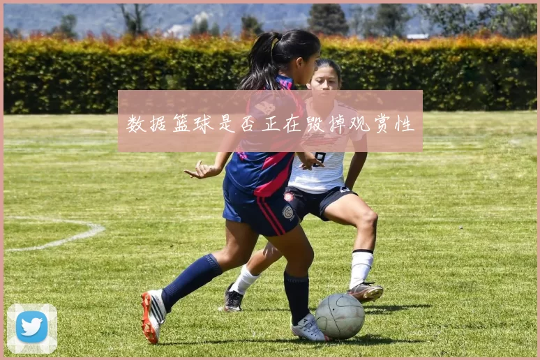 数据篮球是否正在毁掉观赏性