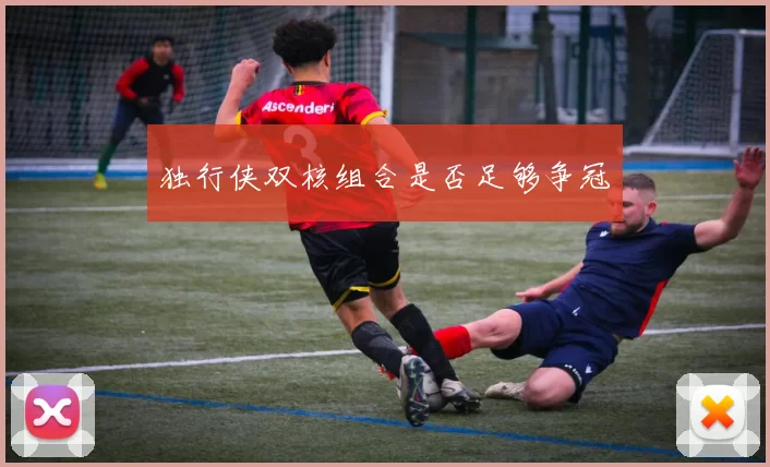 独行侠双核组合是否足够争冠